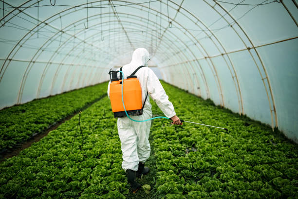 Best Pest Removal Services  in Mantua, VA
