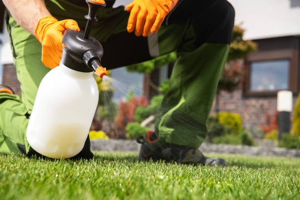 Best Local Pest Control Services  in Mantua, VA